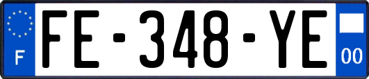 FE-348-YE