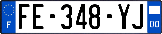 FE-348-YJ