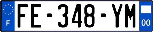 FE-348-YM