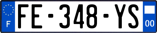 FE-348-YS