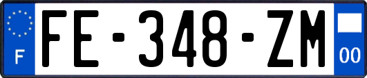 FE-348-ZM