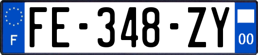 FE-348-ZY