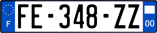 FE-348-ZZ