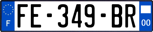 FE-349-BR