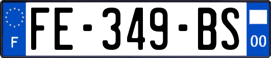 FE-349-BS