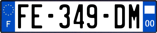 FE-349-DM