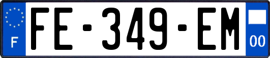 FE-349-EM