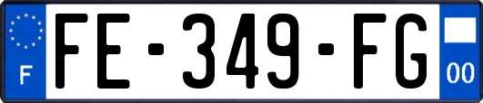 FE-349-FG