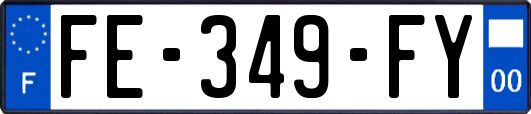FE-349-FY