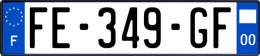 FE-349-GF