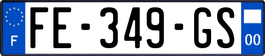 FE-349-GS