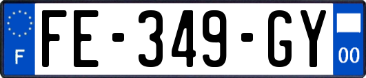 FE-349-GY