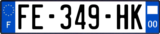 FE-349-HK