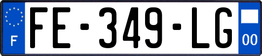 FE-349-LG