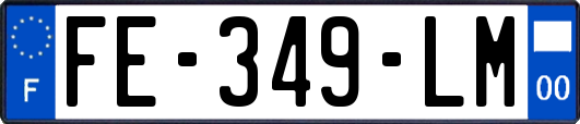 FE-349-LM