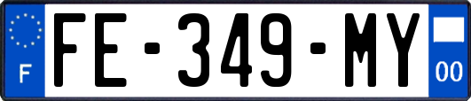 FE-349-MY