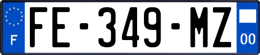 FE-349-MZ
