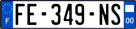 FE-349-NS