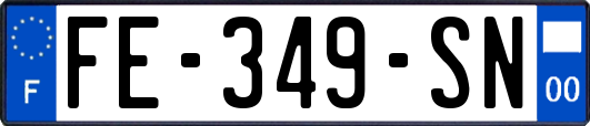 FE-349-SN
