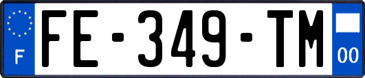 FE-349-TM
