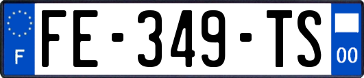 FE-349-TS