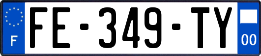 FE-349-TY