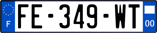 FE-349-WT