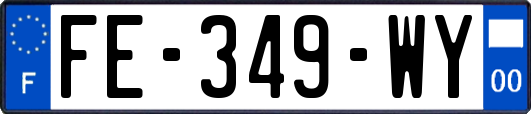 FE-349-WY