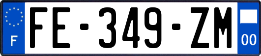 FE-349-ZM