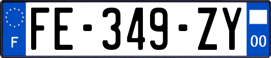 FE-349-ZY