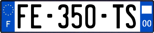 FE-350-TS