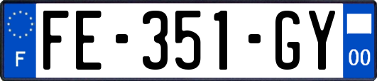 FE-351-GY