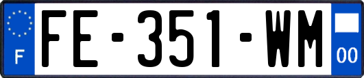 FE-351-WM