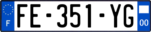 FE-351-YG