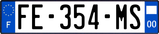 FE-354-MS