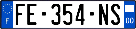 FE-354-NS