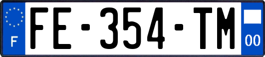 FE-354-TM