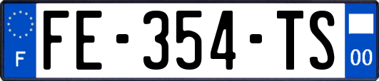 FE-354-TS