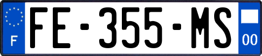 FE-355-MS
