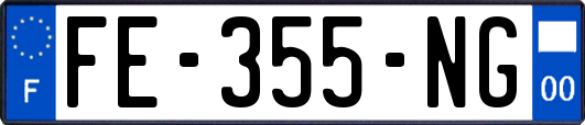 FE-355-NG