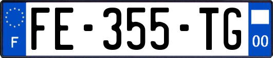 FE-355-TG