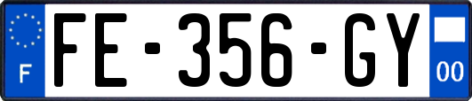 FE-356-GY