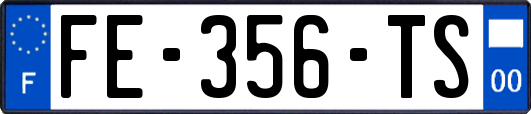 FE-356-TS