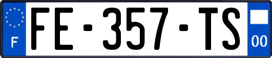 FE-357-TS