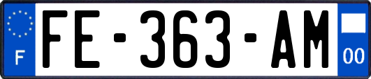 FE-363-AM