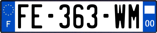 FE-363-WM