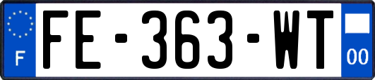 FE-363-WT