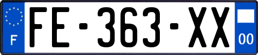 FE-363-XX