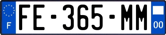 FE-365-MM