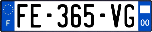 FE-365-VG